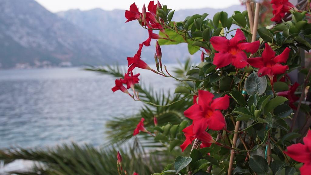 Penthouse Stoliv New Spa-Pool Villa Is Located 5M From The Sea, Exclusive Terrace,Private Jetty Wih Sunbeds, Pebble Beach, Secluded Location Total Area 375M2 At Your Disposal Kotor Buitenkant foto